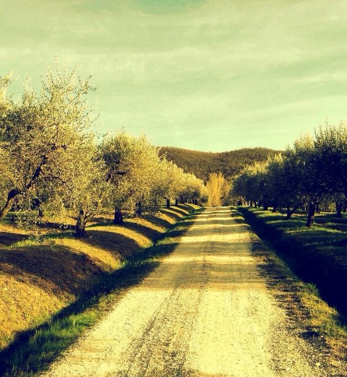 Podere Le Corone Villa Monte Castello di Vibio Екстериор снимка