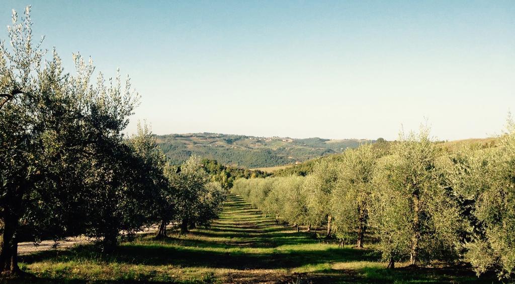 Podere Le Corone Villa Monte Castello di Vibio Екстериор снимка