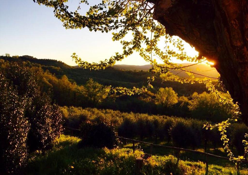Podere Le Corone Villa Monte Castello di Vibio Екстериор снимка