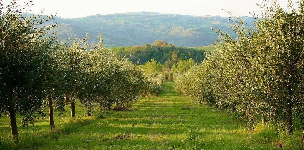 Podere Le Corone Villa Monte Castello di Vibio Екстериор снимка